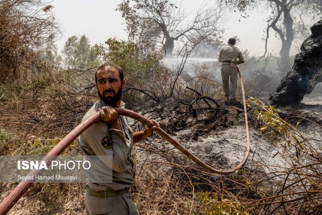 آتش‌سوزی پیاپی در جنگل‌های کرخه / سوختن ۲۰۰ اصله درخت در حریق امروز