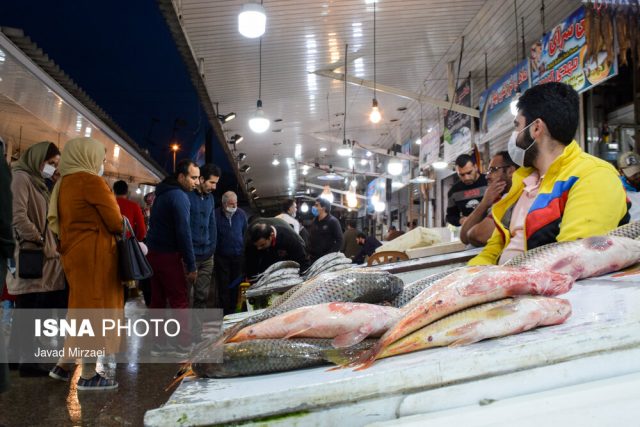 اقشار با درآمدهای مختلف، امکان خرید ماهی دارند