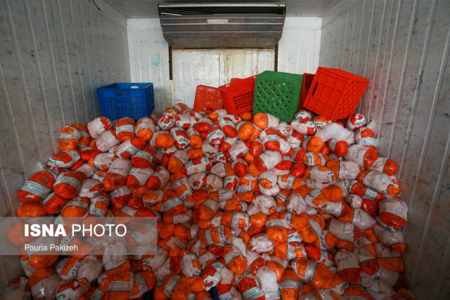 توزیع سهمیه جدید مرغ منجمد در خوزستان