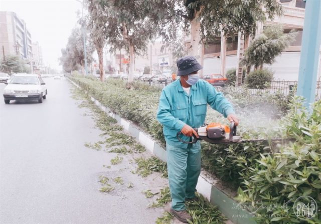  
  درختان خیابان 10 پادادشهر توسط شهرداری منطقه یک  هرس شدند