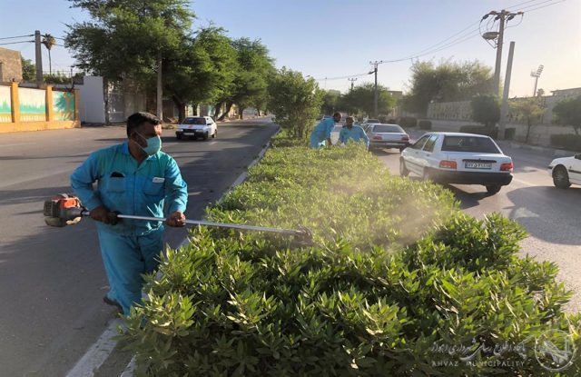  
  عملیات چمن زنی، حاشیه زنی، وجین و هرس درختان در شهرداری منطقه ۴