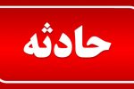 فوت عضو هیات علمی دانشگاه آزاد اهواز در پی حمله سگ‌های بلاصاحب