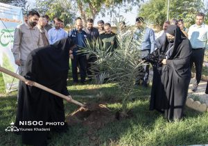 برگزاری مراسم درختکاری از سوی بسیج شهید تندگویان به مناسبت هفته بسیج