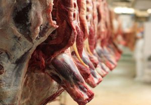 فعالان اقتصادی برای تنظیم بازار خوزستان، گوشت قرمز وارد کنند