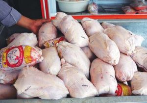 کم بودن تولید نسبت به تقاضا علت گرانی و کمبود مرغ