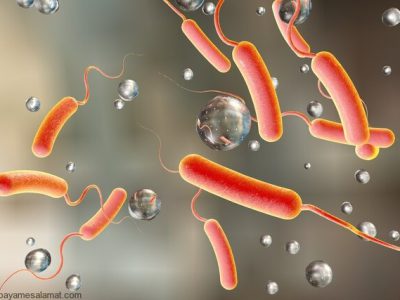 شناسایی ۲۶ مورد ابتلا به وبا در خوزستان در سال گذشته / آغاز پیک بهاره التور