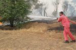 آتش نشانان نفت و گاز مارون حریق ۱۲۰ هکتار از جنگل های شاخ کوپال را مهار کردند