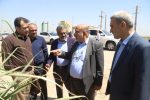 در بازدید اعضای هیئت مدیره توسعه نیشکر از طرح‌های صنعت نیشکر مطرح شد؛ شکوفایی خوزستان با راه‌اندازی صنایع پایین دستی نیشکر