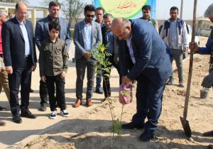 نیشکر در مسیر خوزستانی سرسبز؛ کاشت بیش از یک میلیون نهال اکالیپتوس در سه سال گذشته